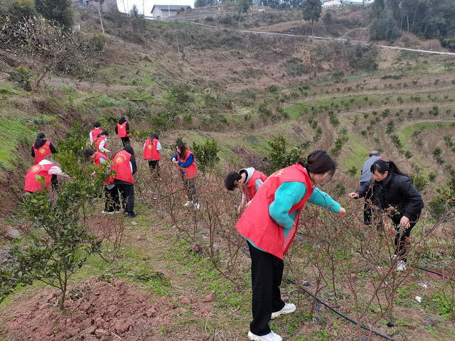 图片2.png 图片2.png